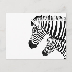Cartão Postal Zebra e bebê