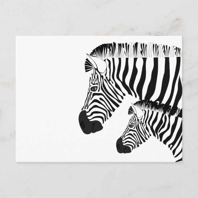 Cartão Postal Zebra e bebê (Frente)