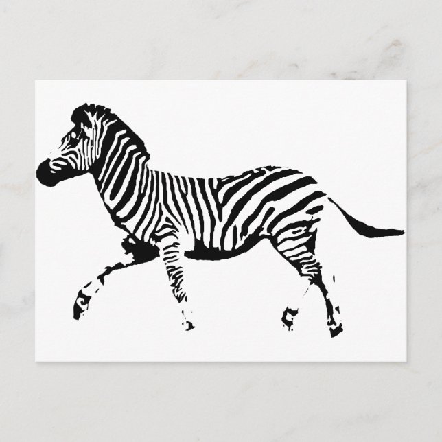 Cartão Postal Zebra em Corrida (Frente)