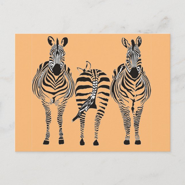 CARTÃO POSTAL ZEBRA HUMOR (Frente)