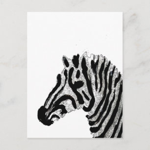 Cartão Postal Zebra - Impressão em preto e branco