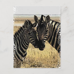 CARTÃO POSTAL ZEBRA LOVE
