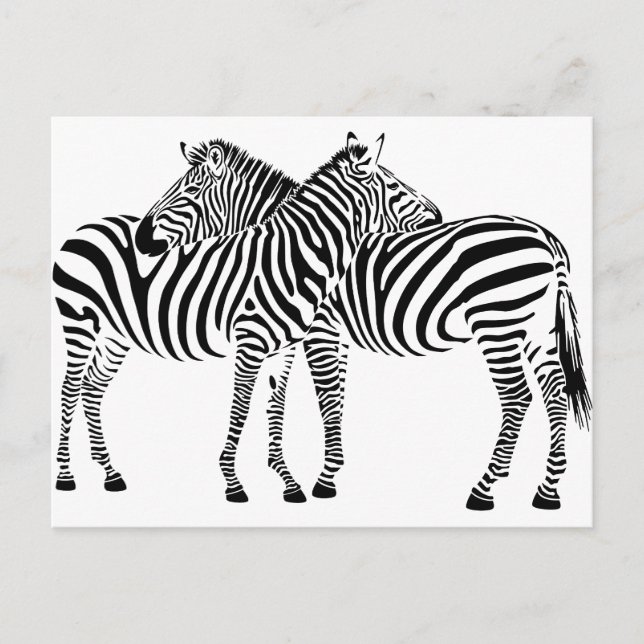 Cartão Postal Zebra Love (Frente)