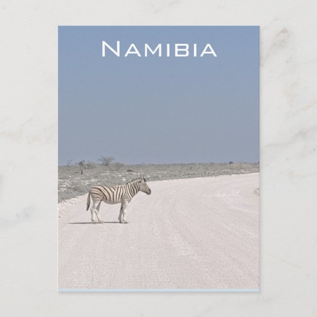 Cartão postal Zebra, Namíbia (Frente)