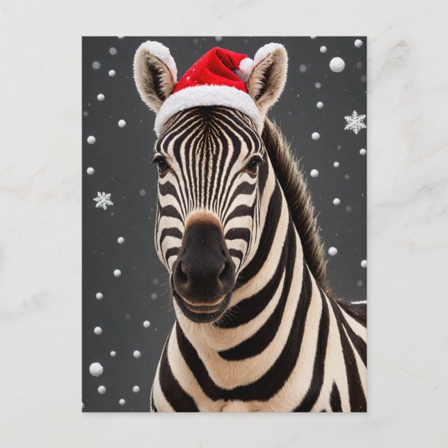 Cartão Postal Zebra Natal (Frente)