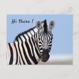 Cartão Postal Zebra olhando para você com texto de foto azul do 