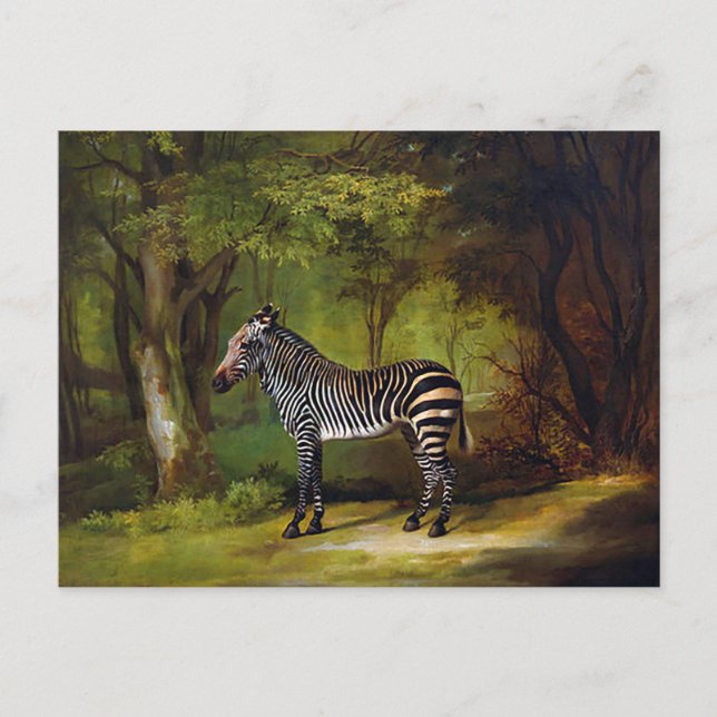 Cartão Postal Zebra por George Stubbs (Frente)