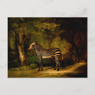 Cartão Postal Zebra por George Stubbs (1763)