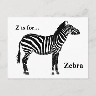 Cartão Postal Zebra - Preto e Branco