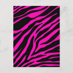 Cartão Postal zebra rosa