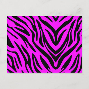 Cartão Postal Zebra Rosa