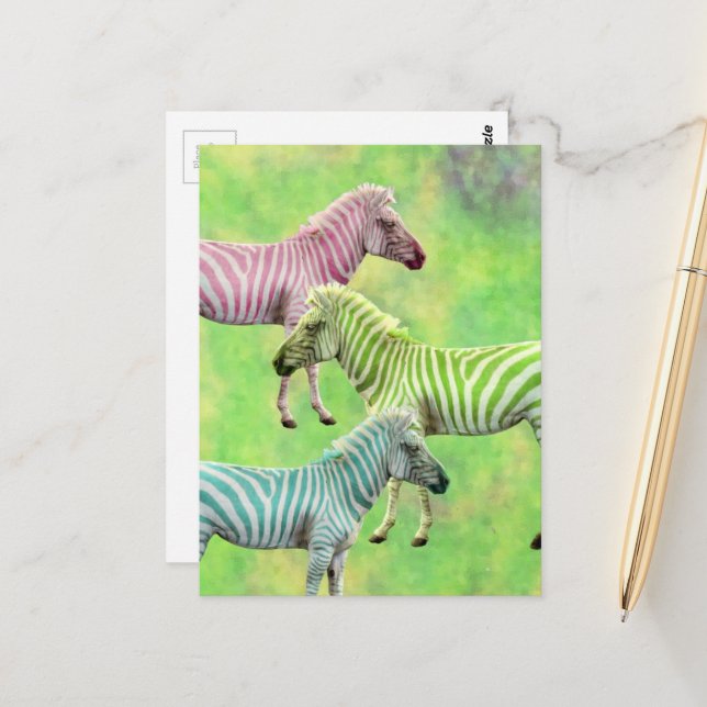 Cartão Postal Zebra Rosa Azul Verde (Frente/Verso In Situ)
