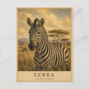 Cartão Postal Zebra Savana da África Oriental VINTAGE
