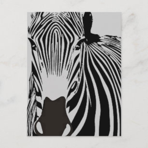 Cartão Postal zebra selvagem das listras preto e branco animais