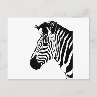 Cartão Postal Zebra Stencil