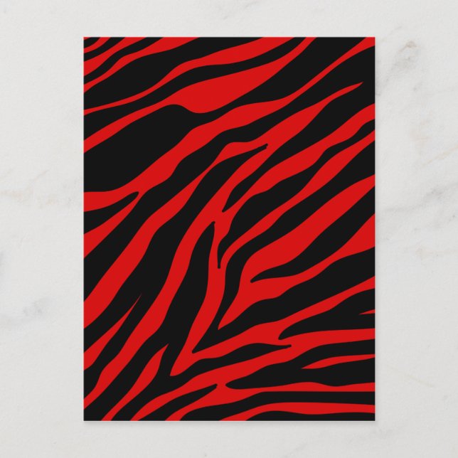 Cartão Postal zebra vermelha (Frente)