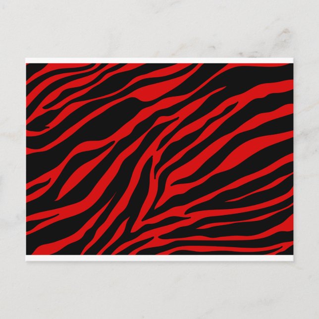 Cartão Postal zebra vermelha (Frente)