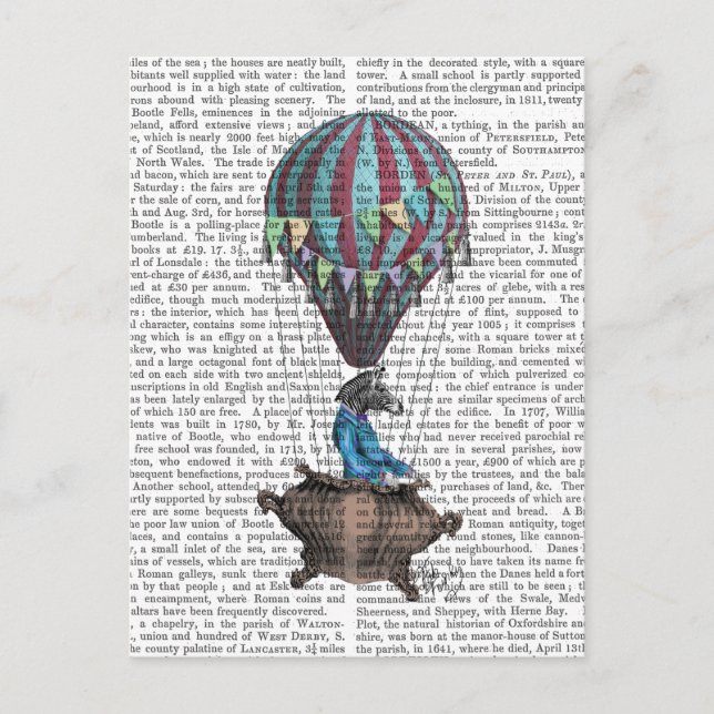 Cartão Postal Zebra voadora (Frente)