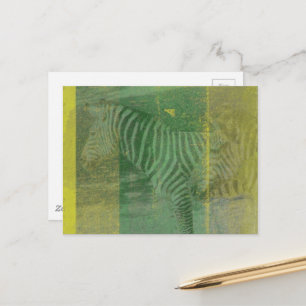 Cartão Postal Zebras