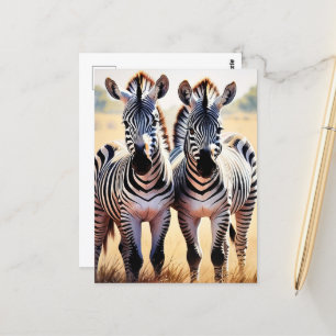 Cartão Postal Zebras Coloridas Safari Inspirado na Arte