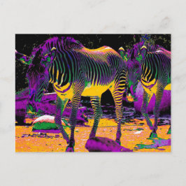 Cartão Postal Zebras Coloridos