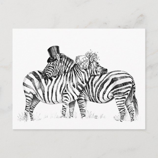 Cartão Postal zebras de casamento (Frente)
