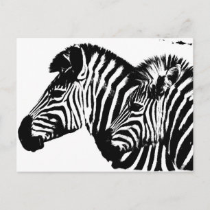 Cartão Postal Zebras, Pop de Arte Moderna Negra E Branca.