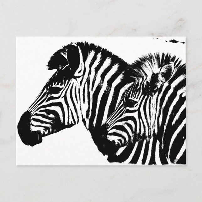Cartão Postal Zebras, Pop de Arte Moderna Negra E Branca. (Frente)