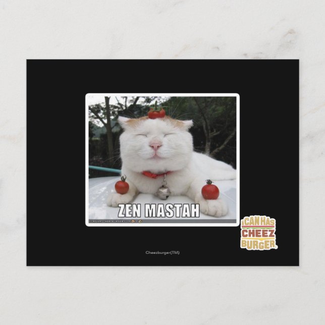Cartão Postal Zen Mastah (Frente)
