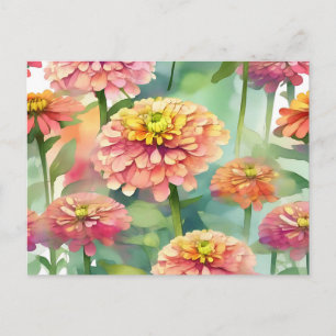 Cartão Postal Zinnia Floral de Molho