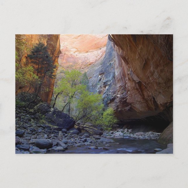 Cartão Postal Zion Narrows (Frente)