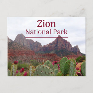 Cartão postal Zion National Park Bloom