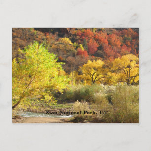 Cartão Postal Zion National Park, Utah Autumn Colors Scenerence
