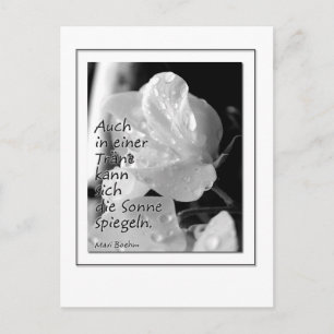 Cartão Postal Zitat-Traene