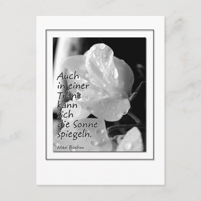 Cartão Postal Zitat-Traene (Frente)