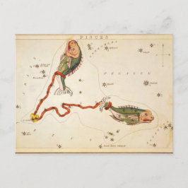 Cartão postal "Zodiac Sinal: Peixes"