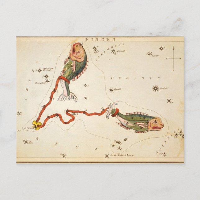 Cartão postal "Zodiac Sinal: Peixes" (Frente)