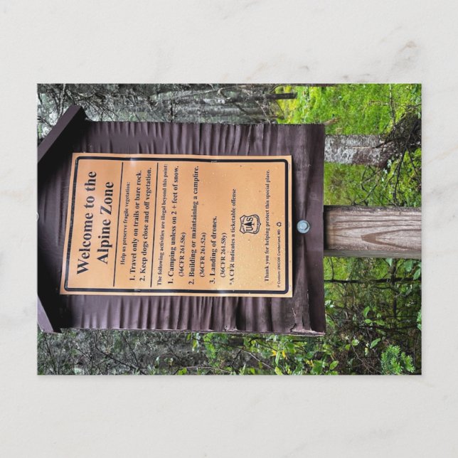 Cartão Postal Zona Alpina - Floresta Nacional dos Montes Brancos (Frente)