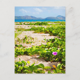 Cartão Postal Zonas úmidas tropicais de praia e mar