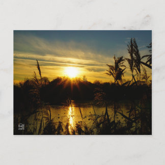 Cartão Postal Zonsondergang bij een meertje met rietpluimen.