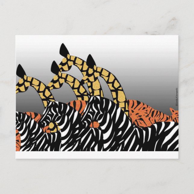 Cartão Postal Zoo (Frente)