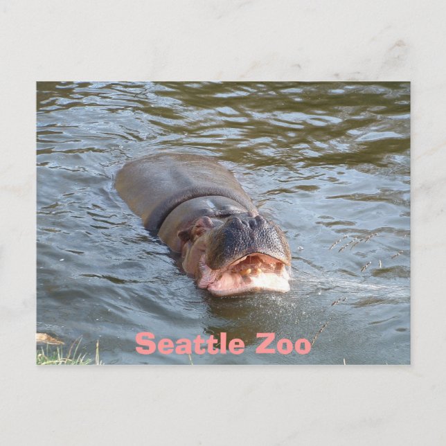 Cartão Postal Zoo Seattle (Frente)