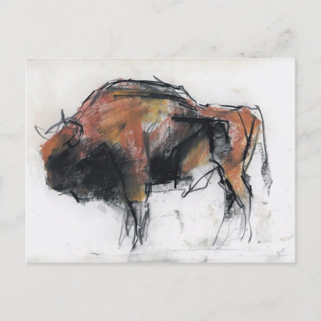 Cartão Postal Zubre Bialowieza (Frente)