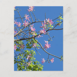 Cartão Postal Zweig mit Blumen