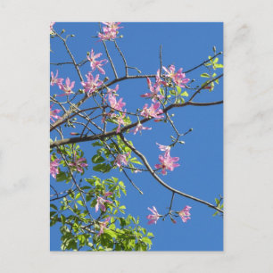 Cartão Postal Zweig mit Blumen