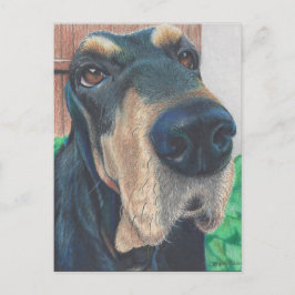 cartão poste de cão preto