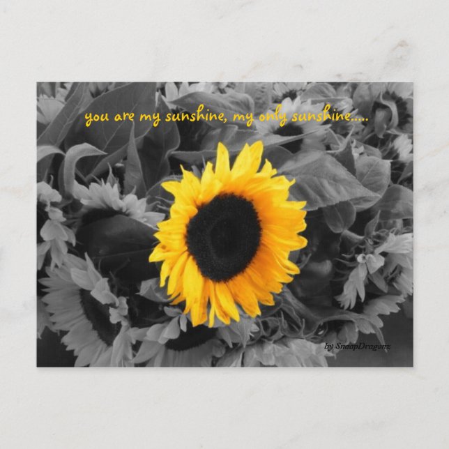 Cartão poste Sunshine (Frente)