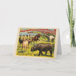 Cartão Poster de Circo para Adam Forepaugh e Vende Irmãos