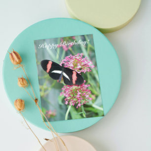 Cartão Postman Butterfly on Pink Flowers Birthday Card