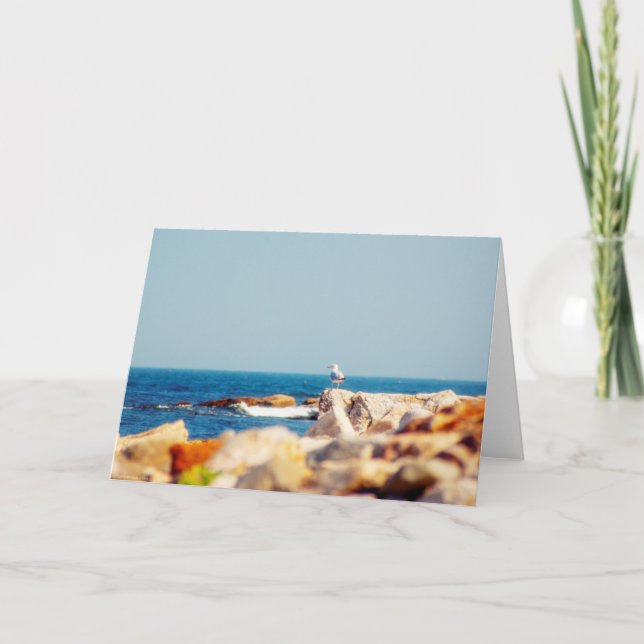 Cartão Posto de Gull (Frente)